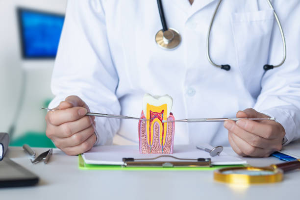 Best Tooth Infection Emergency Dentist  in Lakehurst, NJ